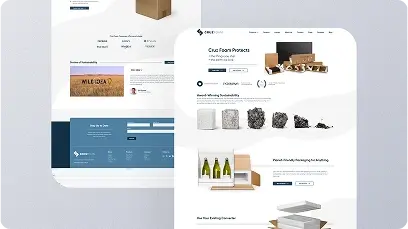 Rectangle 34625534 (8)